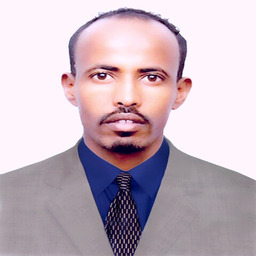 Abdalle A. Mohamed